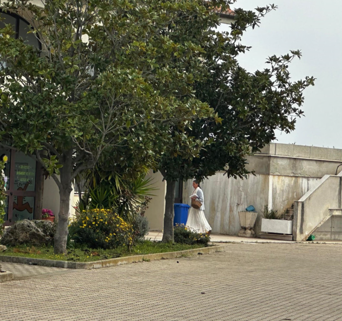 Family in the woods, why the mother was separated from her children: the reasons of the Court