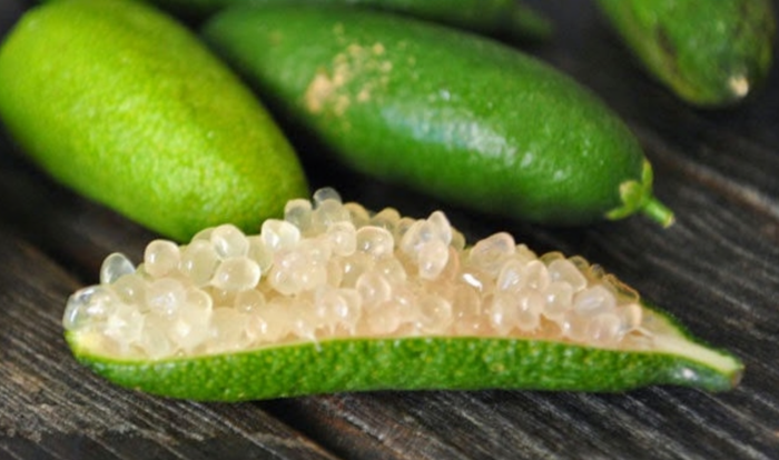 Finger lime, the lemon that looks like caviar