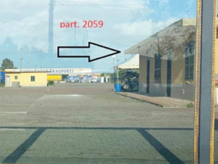 Catania: from mafia lands to a refuge for strays, the dog oasis is born in the industrial area