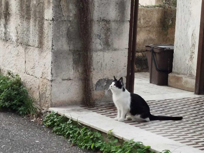 &laquo;Servono i dissuasori per limitare la velocit&agrave;&raquo;